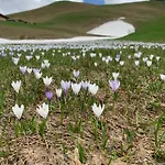 Kaenzele Διαμέρισμα