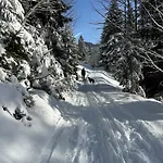 Διαμέρισμα Kaenzele Reuthe