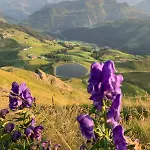 Kaenzele Lejlighed Reuthe
