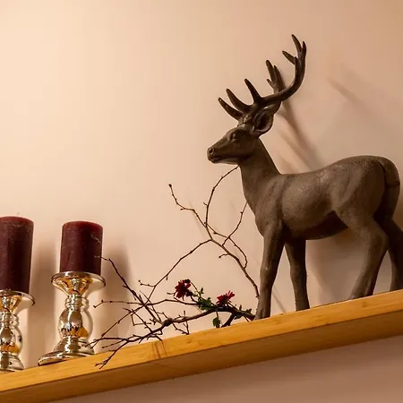 Διαμέρισμα Kaenzele *