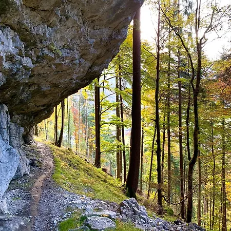 Kaenzele Διαμέρισμα Reuthe