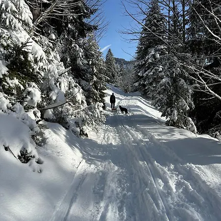 דירה Kaenzele רויטה