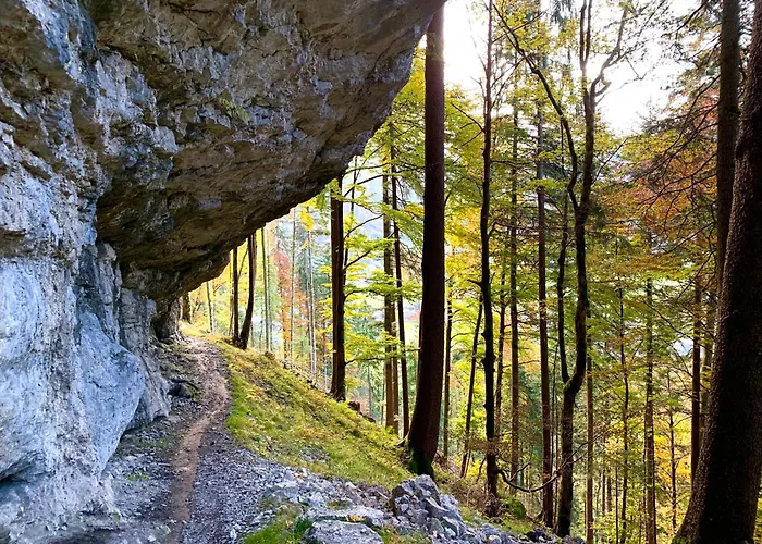 Kaenzele Daire Reuthe