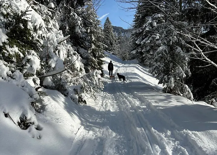 Daire Kaenzele Reuthe